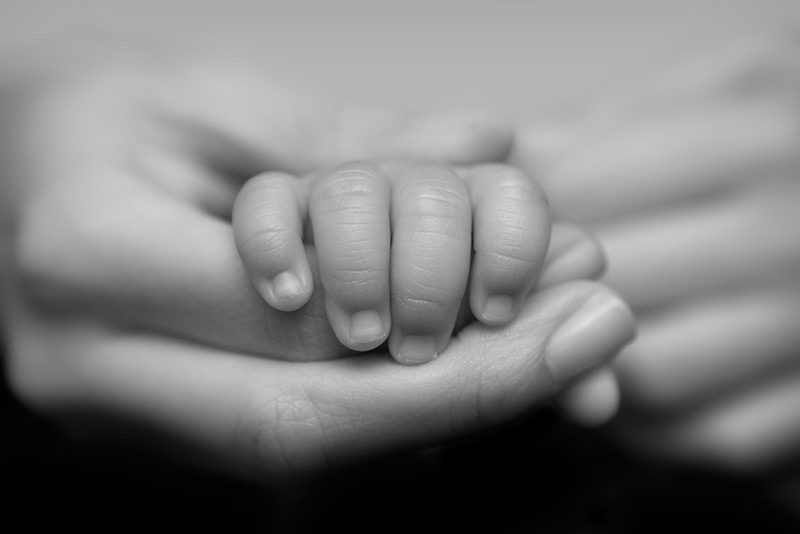 hand of baby and adult