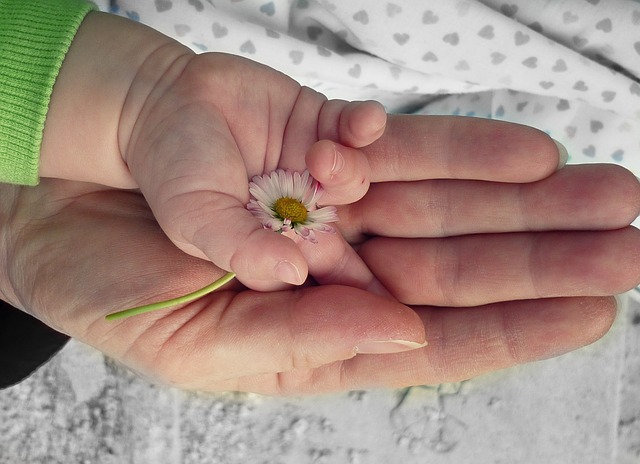 hands and flower