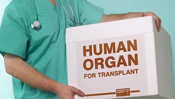 органдарды трансплантаттау